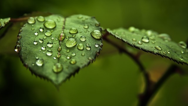 blog-image