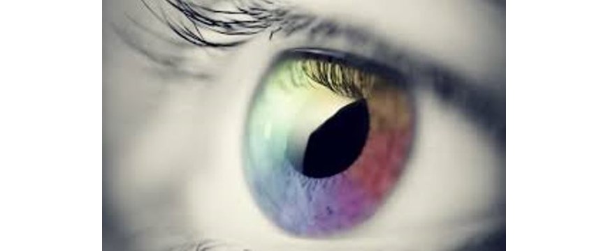 blog-image