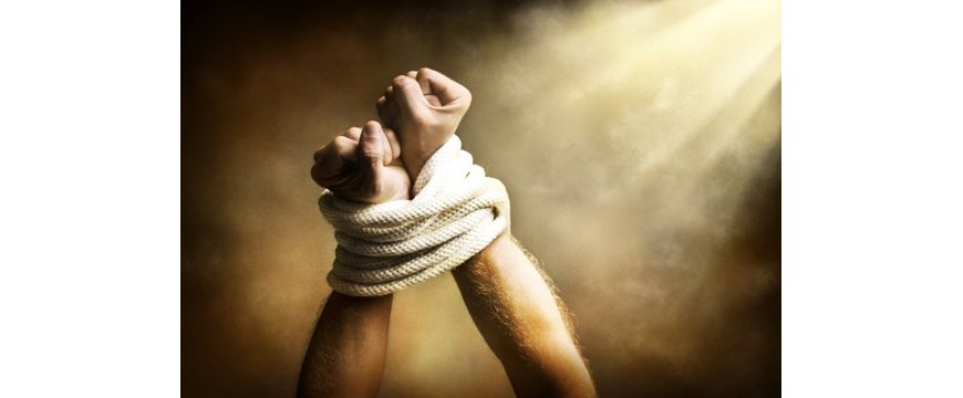 blog-image